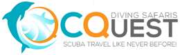 Tour Booking Terms & Conditions C-Quest Diving Safaris 2024